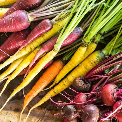 Colorful beets and carrots