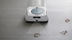 Image of iRobot Bravaa Jet robot mop in promotional shot, being used to clean pet paws from floor