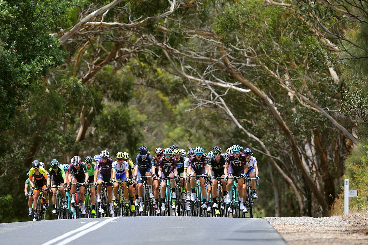 The peloton on stage 1