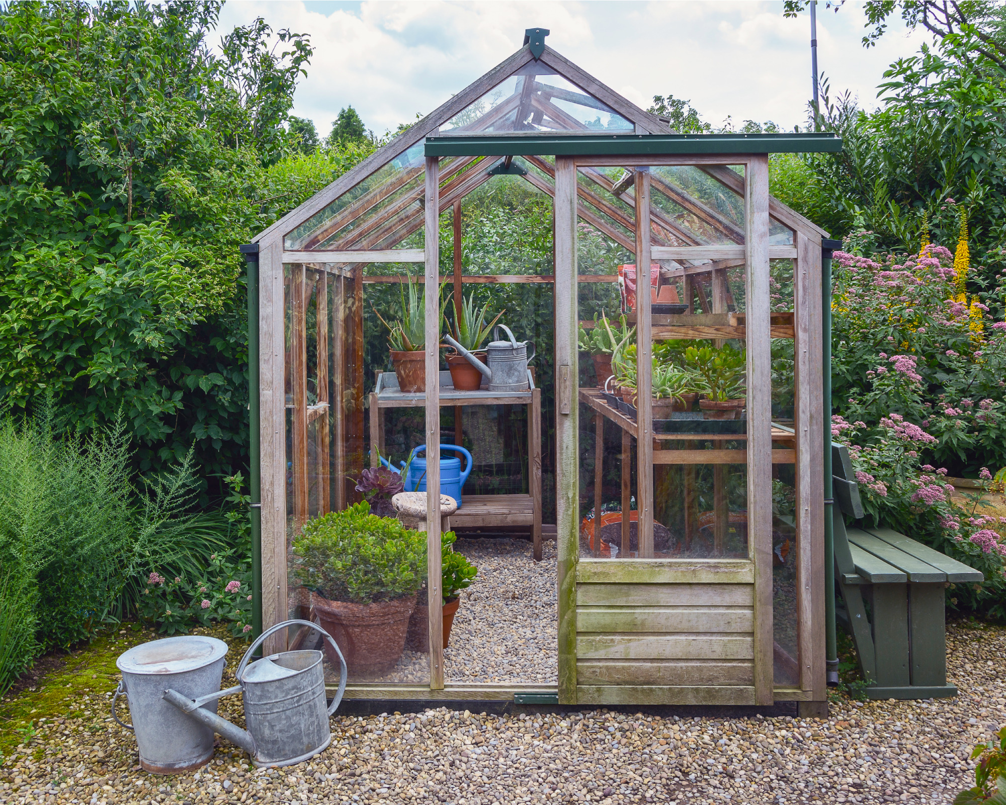 greenhouse in backyard