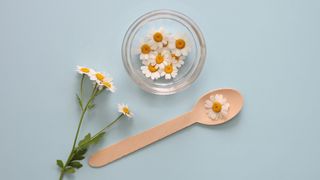 Chamomile flower sitting on wooden spoon next to glass jar