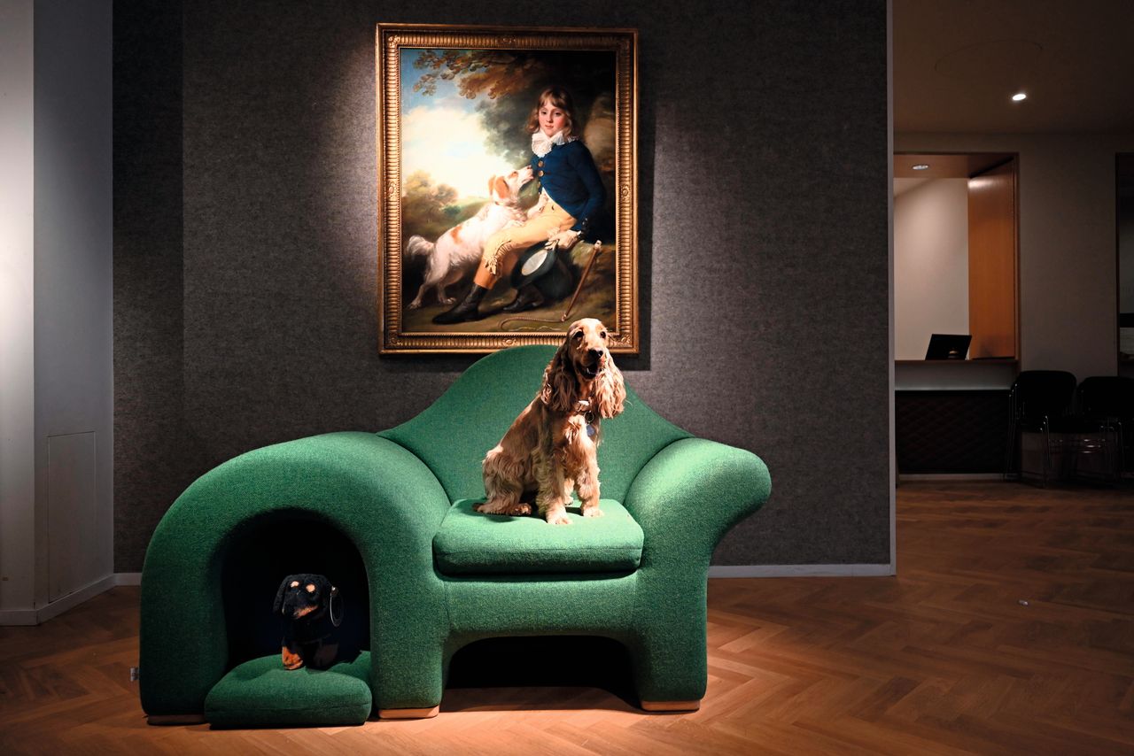 Earning canine approval: Hound Lounge by Hopkins Architects for Barkitecture.