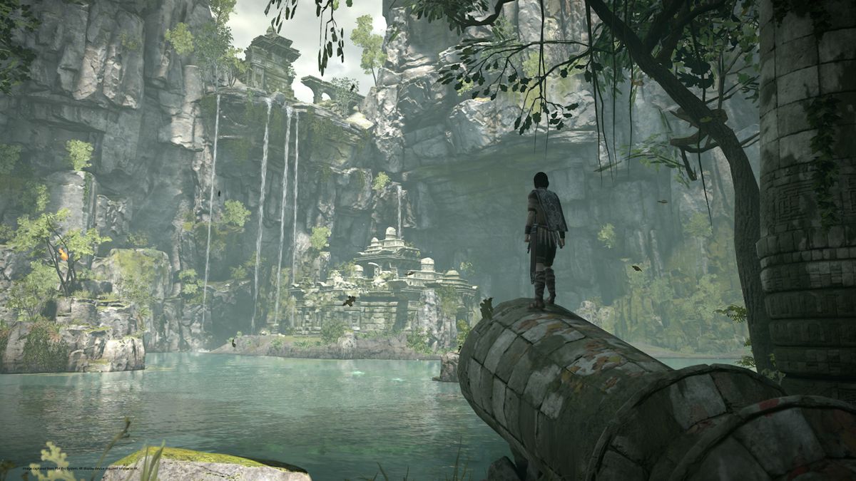 You've never seen a game that looks like Shadow of the Colossus, and you  probably never will again.