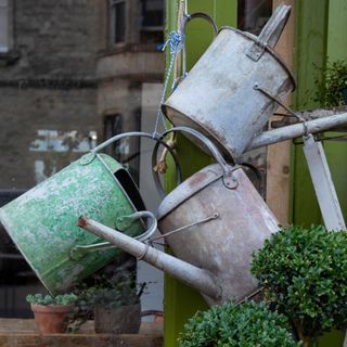 Three metal watering cans hanging from a wooden pole