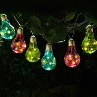 multi coloured garden bulbs