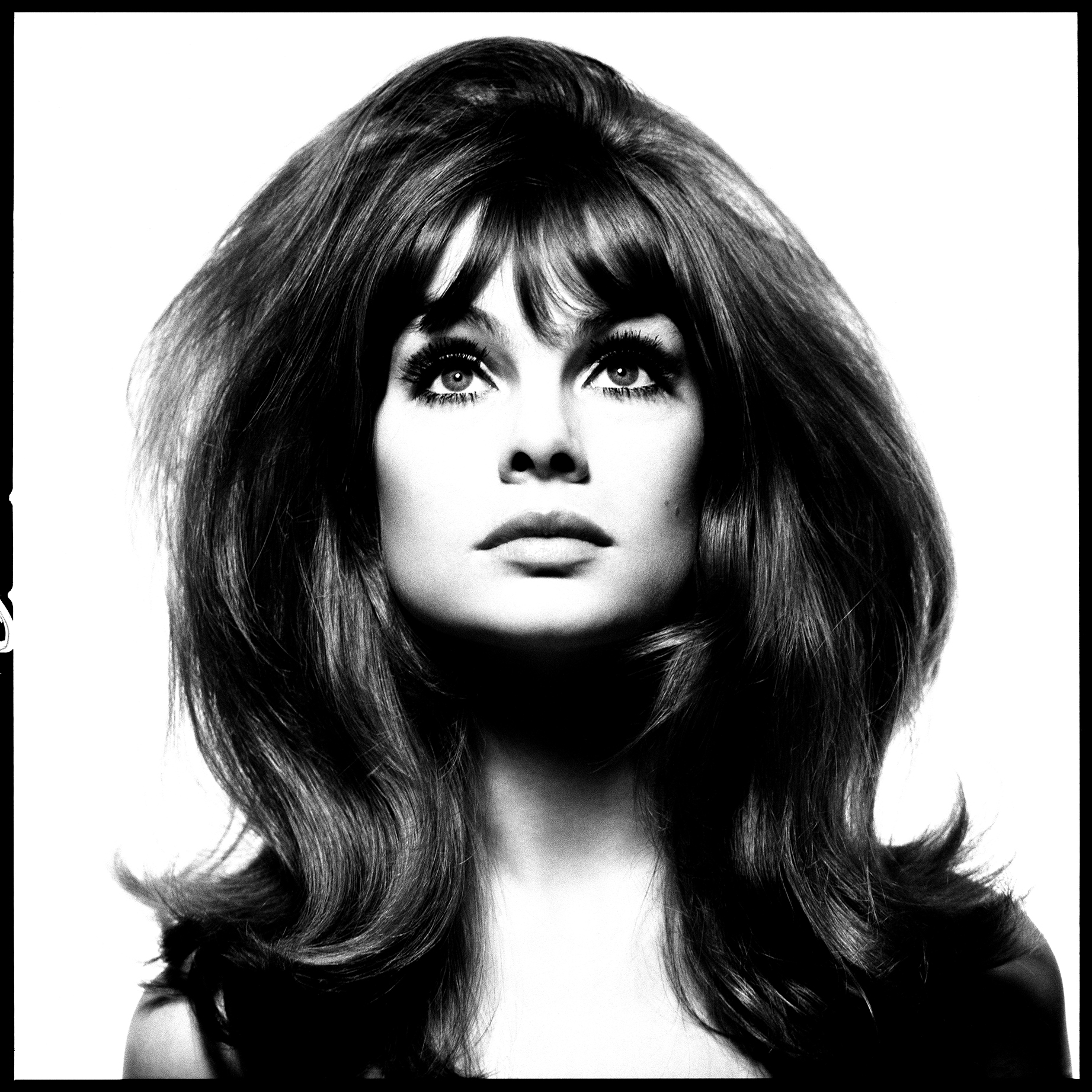 A silhouette of a woman with voluminous, wavy black hair against a stark white background