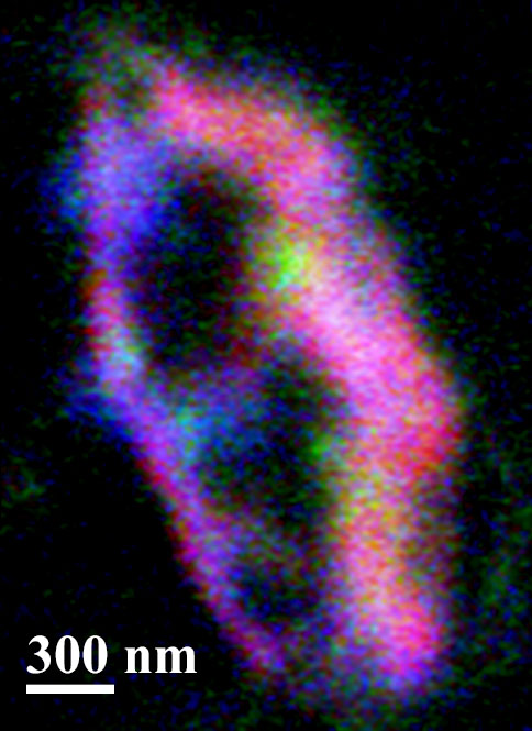 X-Ray Fluorescence Map of Interstellar Dust Candidate Orion