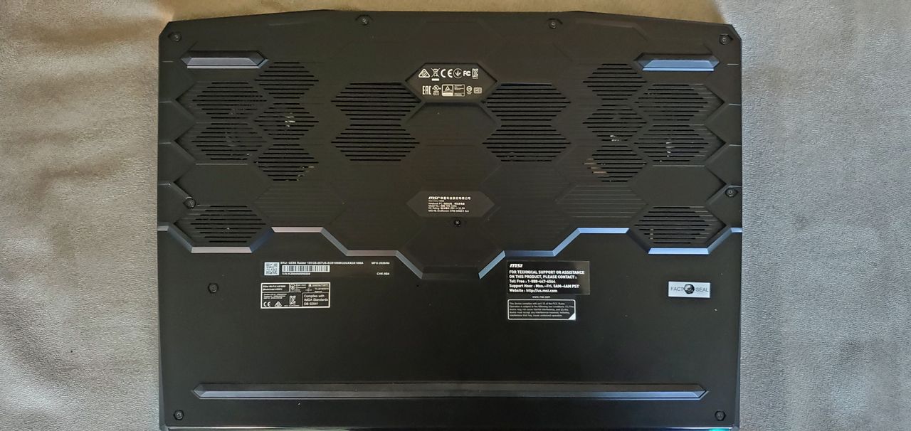 MSI GE66 Raider