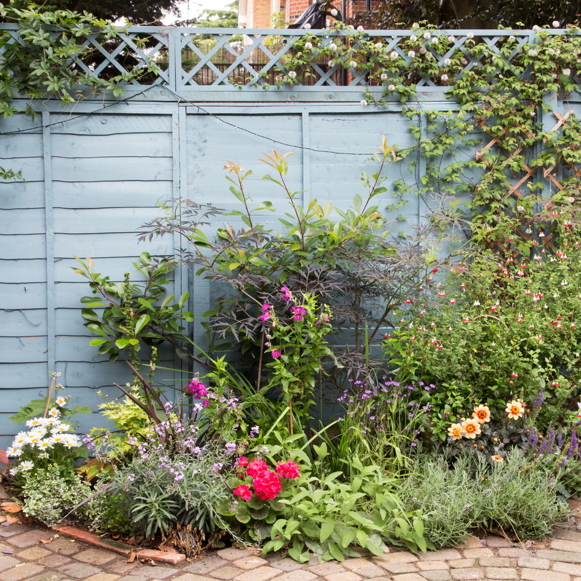Can I paint my side of a neighbour's fence? We asked experts | Ideal Home