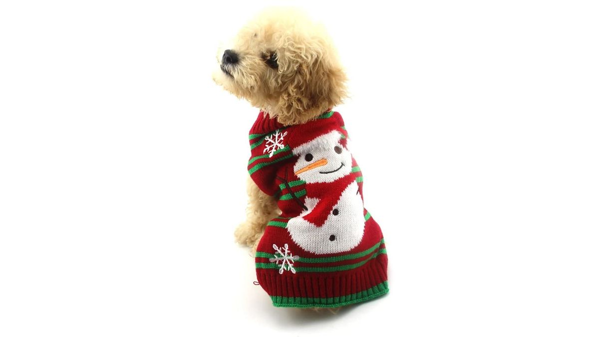 Best dog Christmas sweaters From novelty to personalized PetsRadar