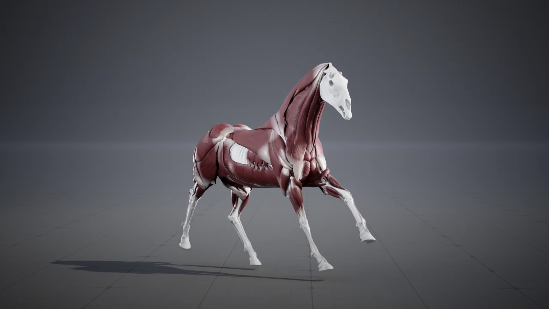Unreal 5.6