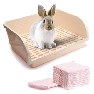 Best rabbit litter box