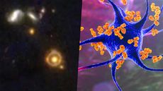 Science news this week includes discoveries from the James Webb telescope and the development of an &lsquo;inverse vaccine&rsquo;.