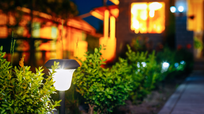Best outdoor solar lights 2022: image depicts garden shrubs with solar lights at night