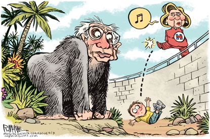 Political cartoon Bernie Sanders Gorilla Hillary Clinton