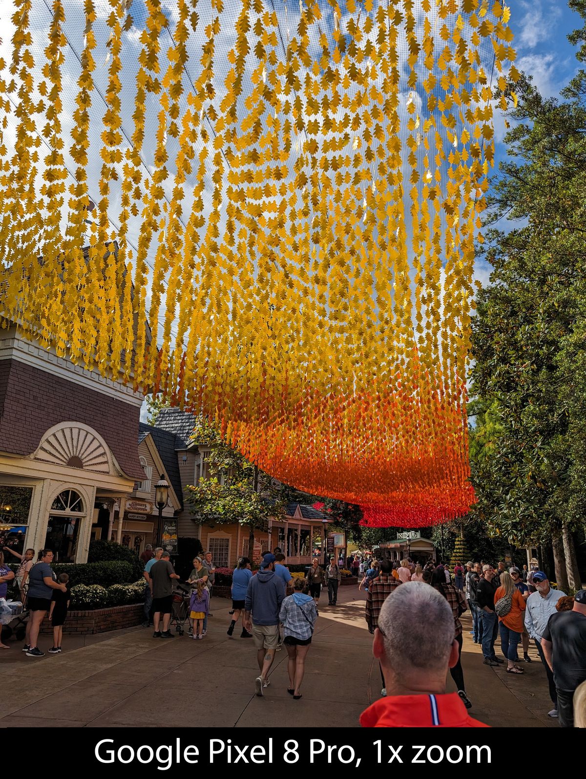 Camera samples from the Google Pixel 8 Pro's main camera