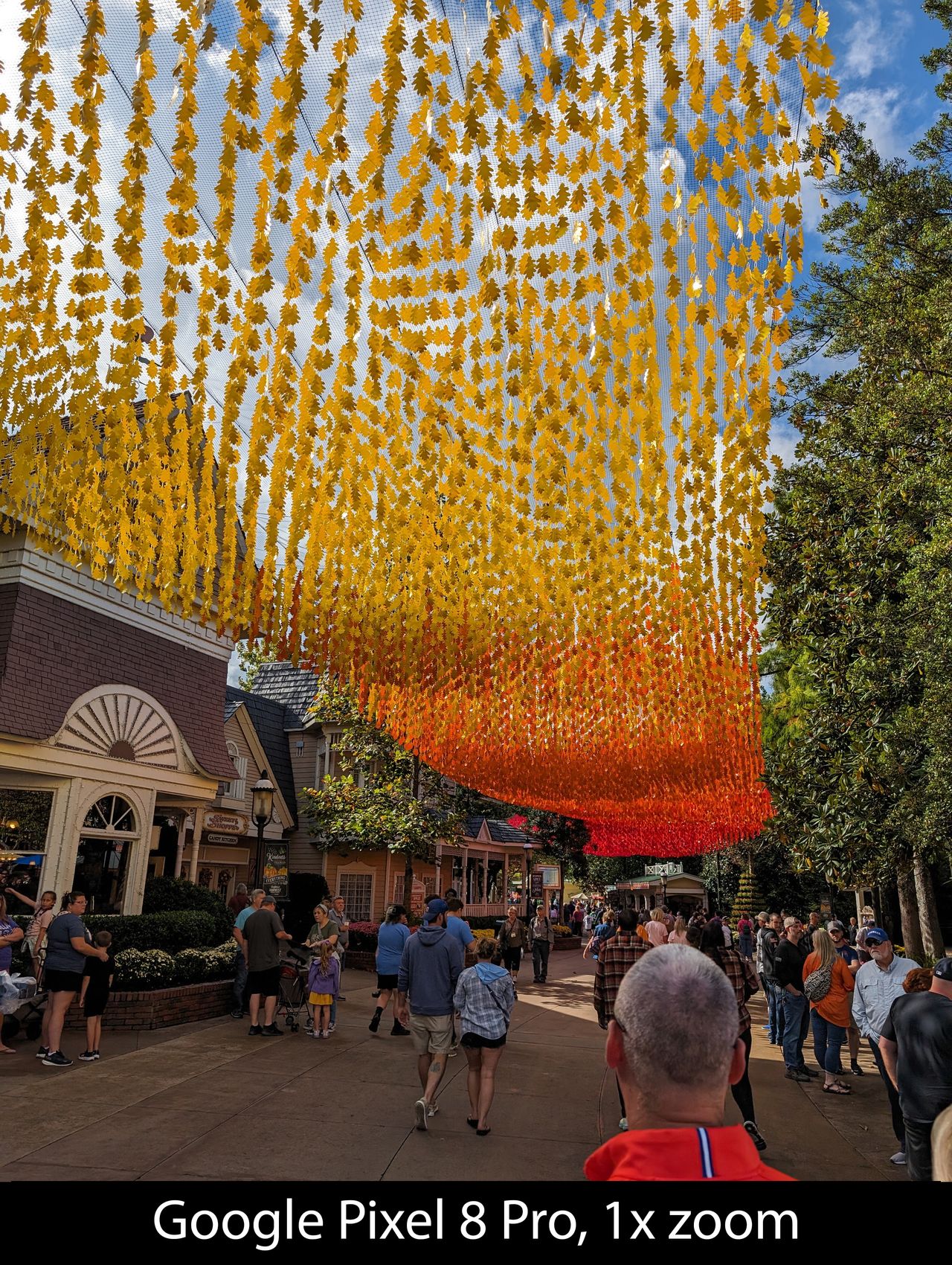 Camera samples from the Google Pixel 8 Pro's main camera