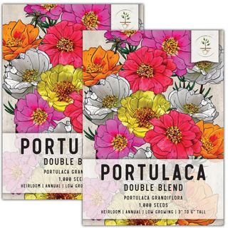 Seed Needs, Portulaca Seeds 