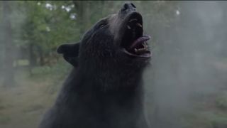 The bear from Cocaine Bear