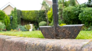 Lawn edger being used to neaten a lawn