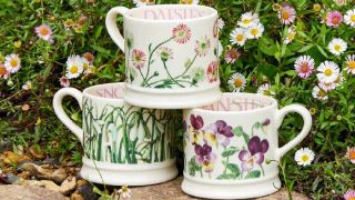3 Emma Bridgewater flower mugs in a garden