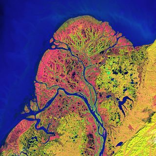 Yukon river delta captured by the Landsat Program.