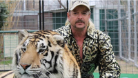Tiger King: Murder, Mayhem and Madness