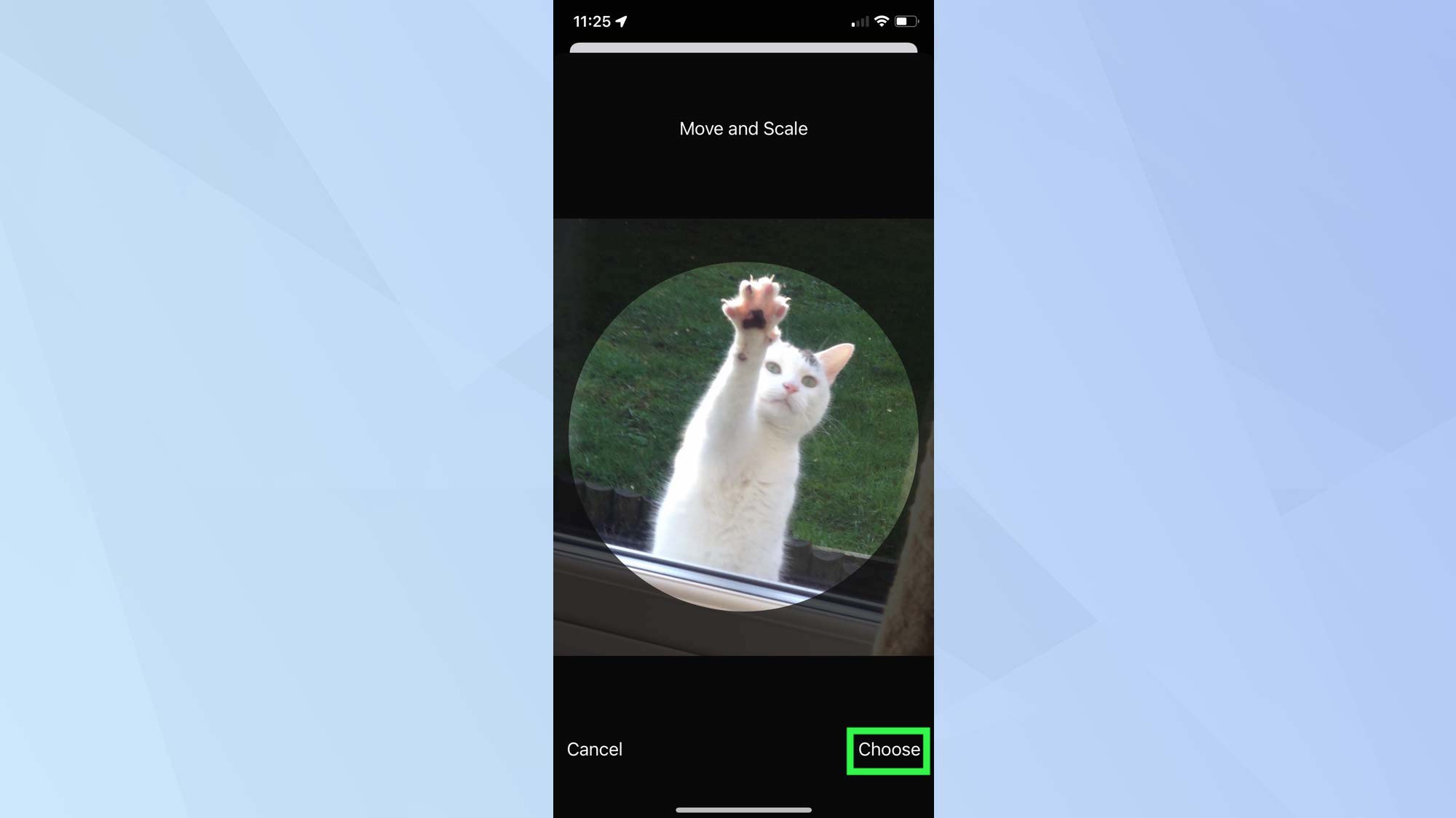 Screenshot of iOS 15 with a photo of a cat showing "move and scale" options