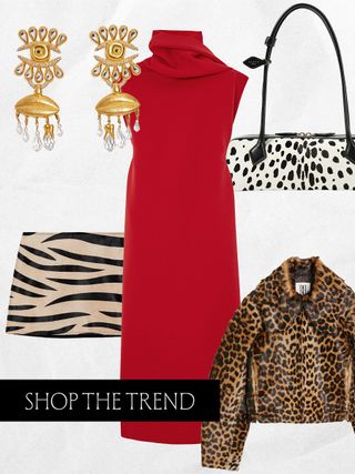 A collage showing various product flats of Schiaparelli earrings, a red Carven dress, a Mango striped pony hair skirt, a leopard print By Malene Birger jacket, and a spotted Alaia Le Teckel bag.