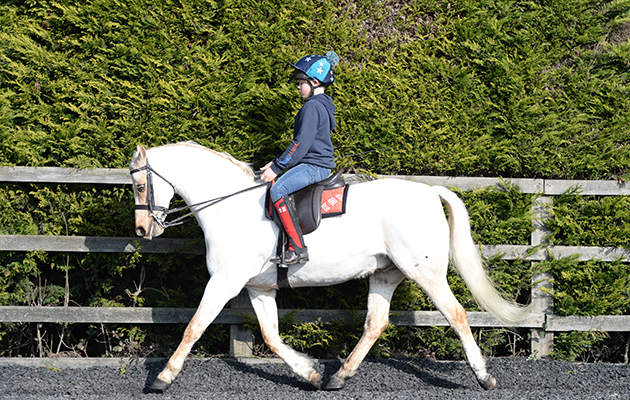 Thomas riding Cadlanvalley Sandpiper (Sammy) getting ready for his first junior class at Katy Marriot Payne stables in a small Northampton Village in the UK on the 13th February 2017
