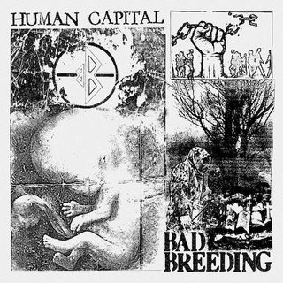 Human Capital artwork