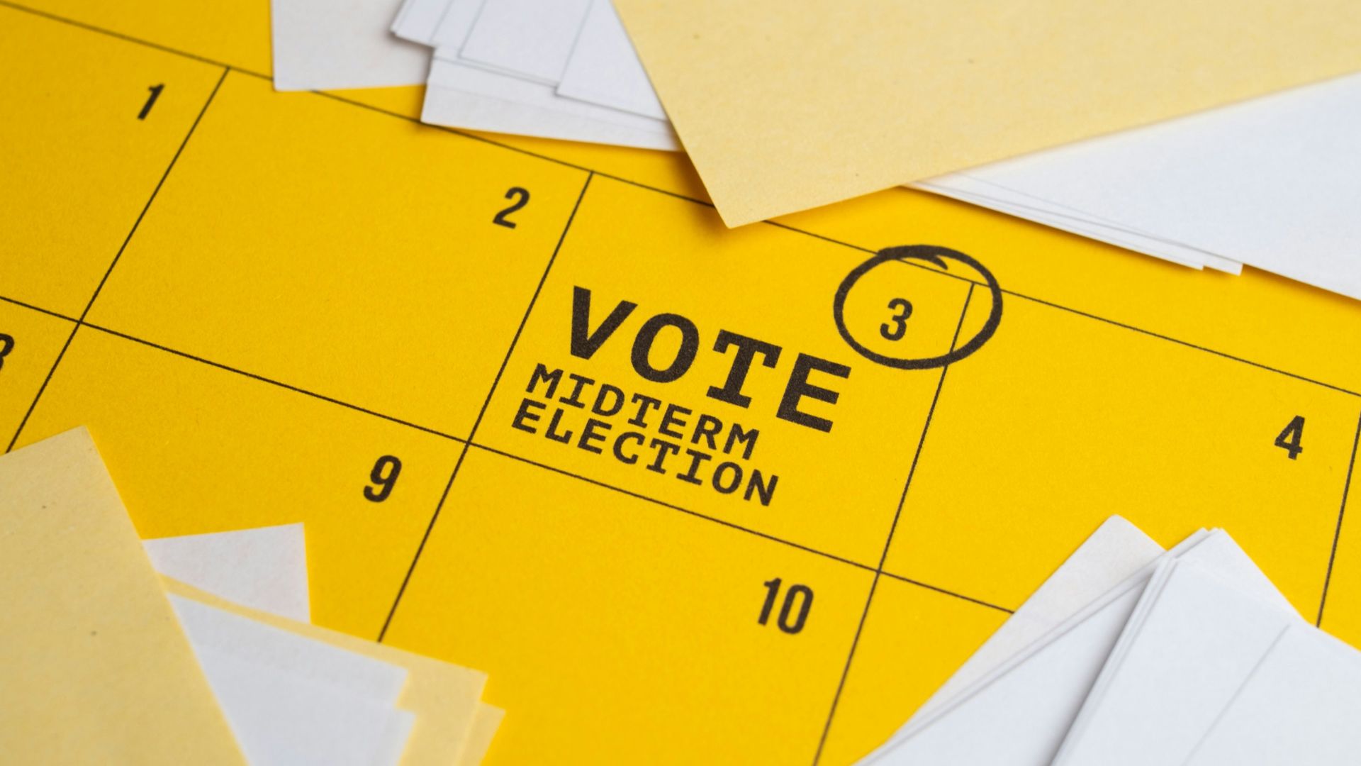 voter