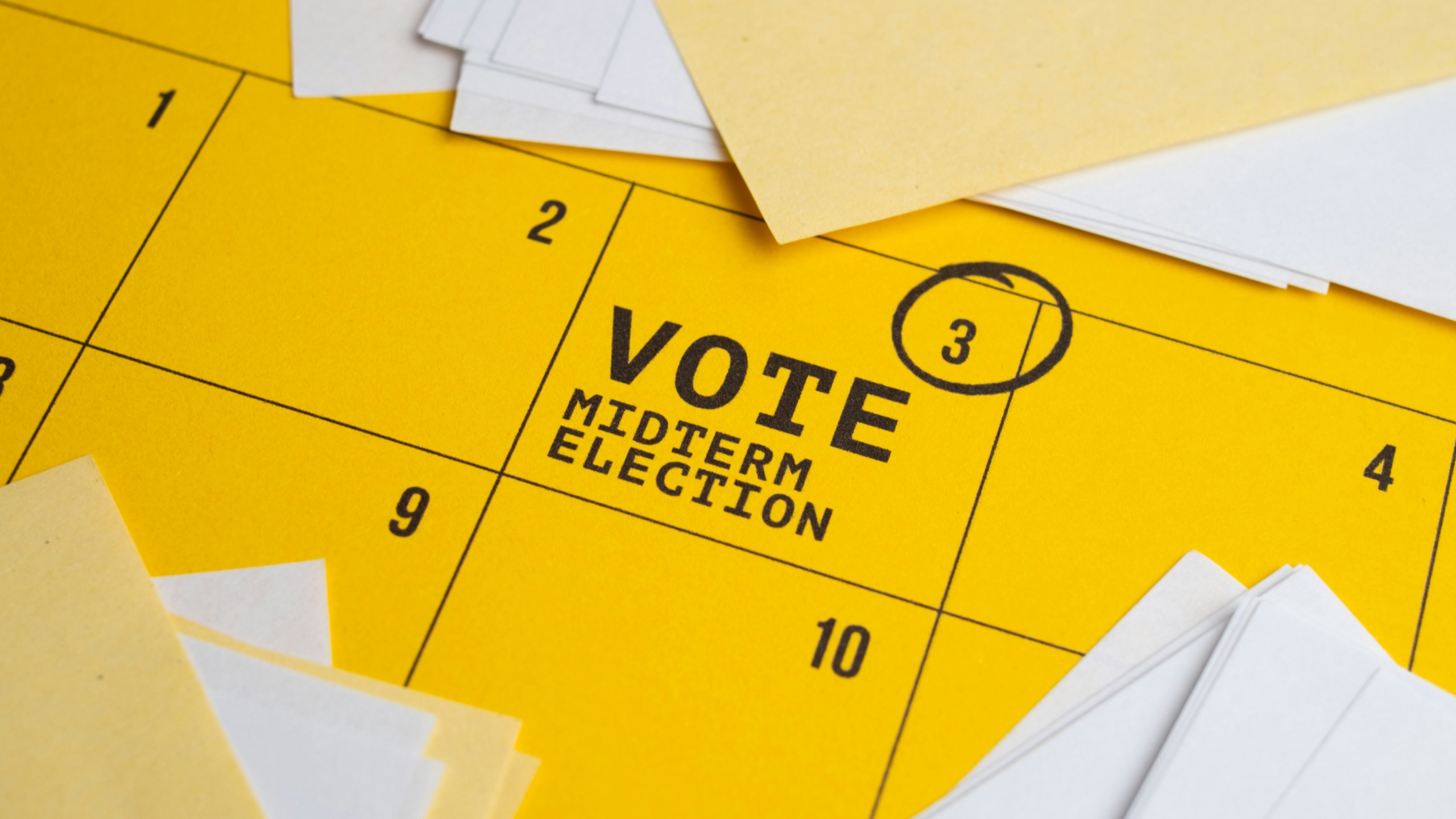 voter