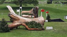 Badminton horse trials cross-country fence