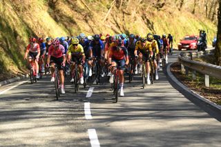 The peloton races towards the finish of stage 2 of Itzulia Basque Country