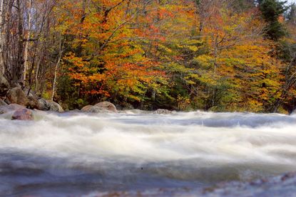 New Hampshire fall foliage.