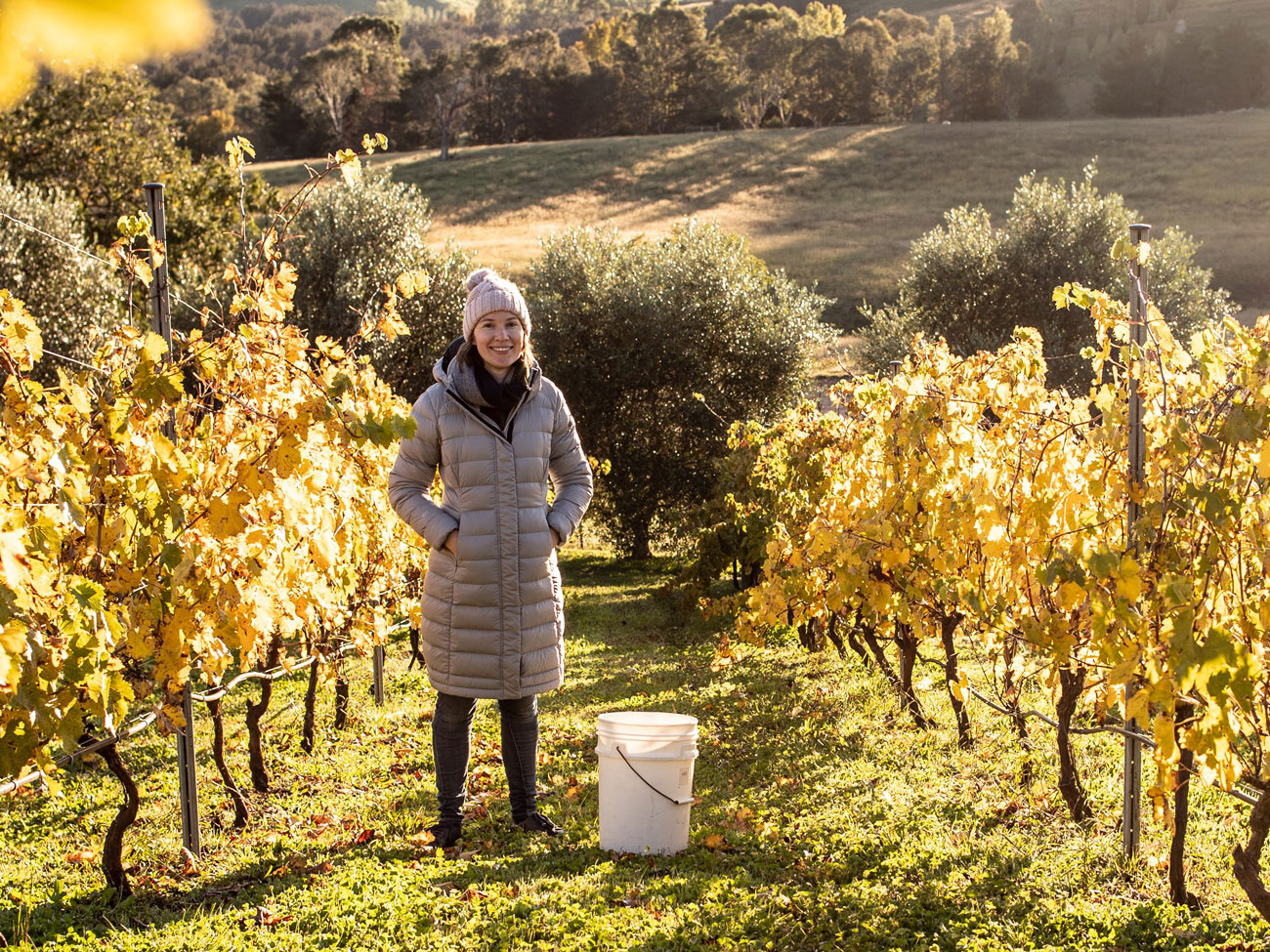 Emma Shaw, general manager of Collector Wines
