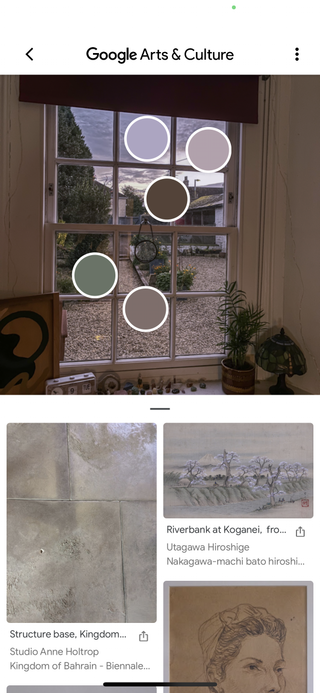 A screenshot of the colour palette option on the Google Arts and Culture app.