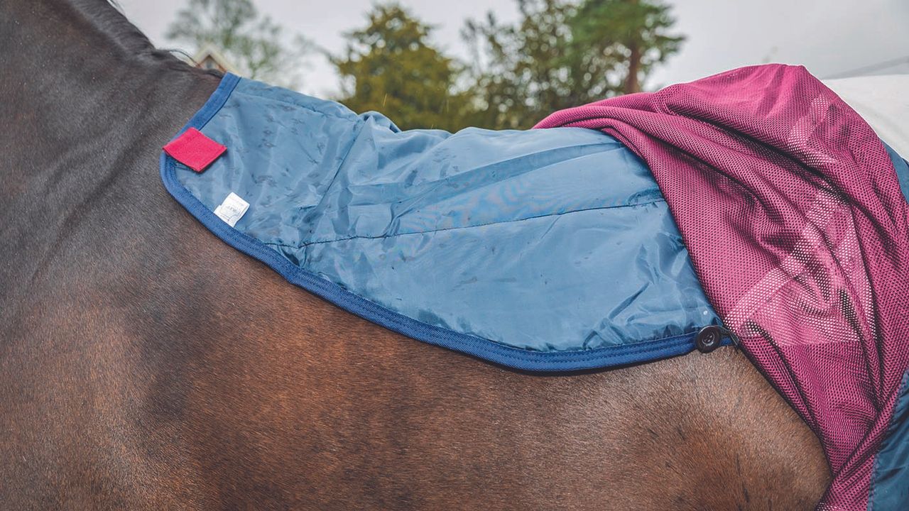 Horseware Rambo Summer Series&nbsp;review