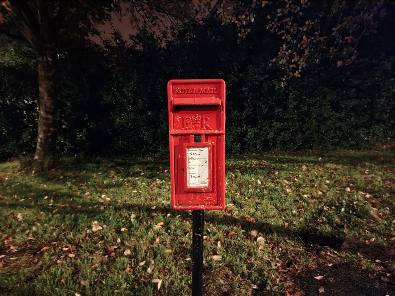 Nokia 8.3 5G camera sample