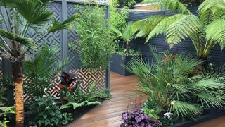 small decking area with greenery and trellis