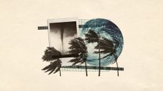 Photo collage of a tornado, the eye of a hurricane, and palm trees blowing in high wind