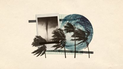 Photo collage of a tornado, the eye of a hurricane, and palm trees blowing in high wind