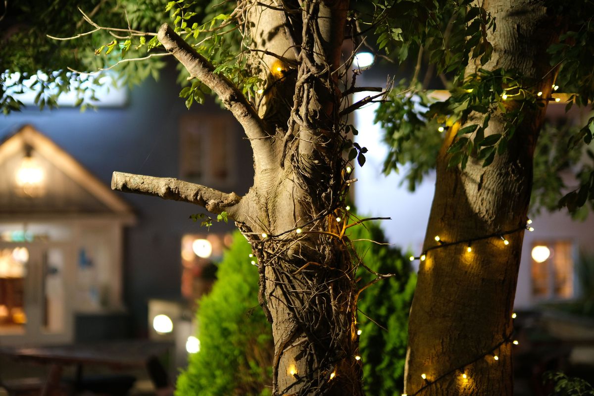 Fujinon XF 50mm F1.0 WR
