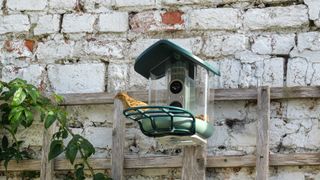 Kiwibit Bird Feeder 2 Pro bird feeder camera