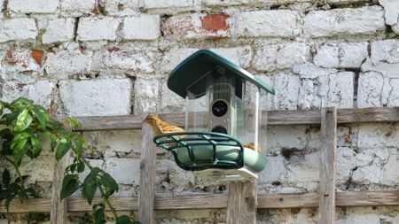 Kiwibit Bird Feeder 2 Pro bird feeder camera