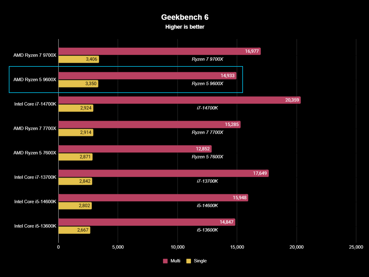 AMD Ryzen 5 9600X benchmark test results graph