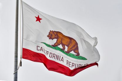 California state flag flying on a pole
