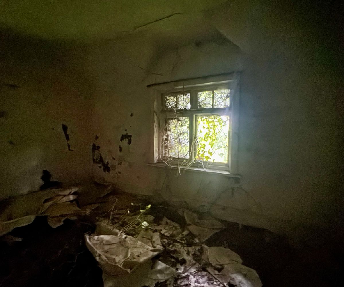 A window in a bedroom covered in ivy