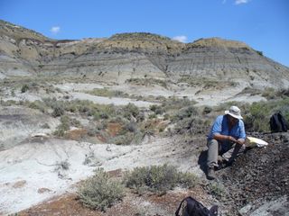 Geochronologist Paul Renne collects a volcanic ash sample from a coal bed within a few centimeters of the dinosaur extinction horizon. A study by Renne and colleagues confirmed the link between the Chicxulub asteroid impact and dinosaur extinction 65 million years ago. Image released Feb. 7, 2013.
